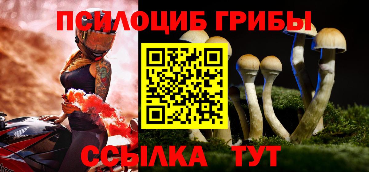 Кузнецк  Галлюциногенные грибы мухоморы  Вход с VPN 